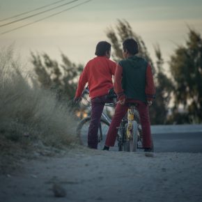 45755352035_e7daf1df3a_c