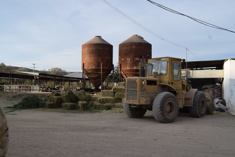 Urge empresa ancla en la Agrósfera de Aguascalientes para que siga su construcción
