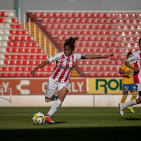 46229310984_769d3d4dca_c