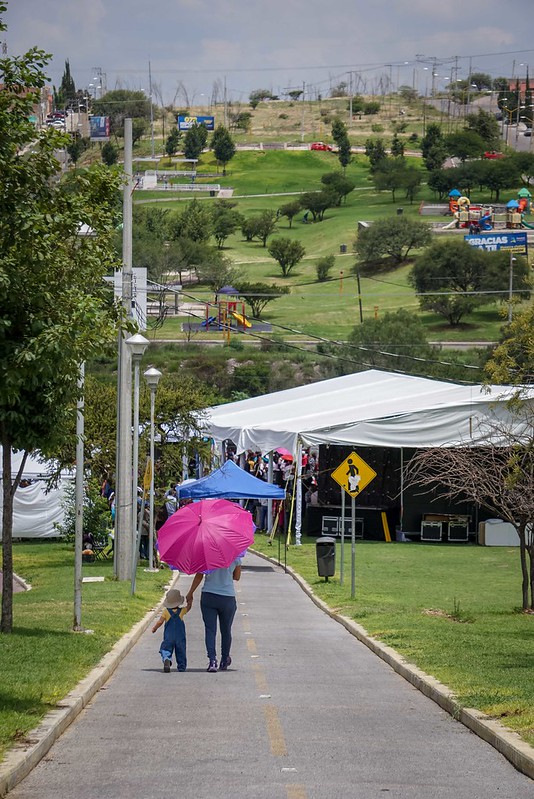 Depende de Cámara de Diputados permanencia de programas estatales de Aguascalientes