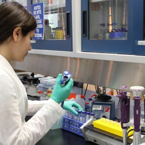 48491970062_14a894d671_c