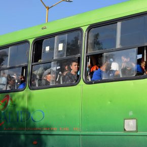 48532784486_e3f17425d9_c