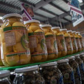 48719332088_3e98f9206b_c