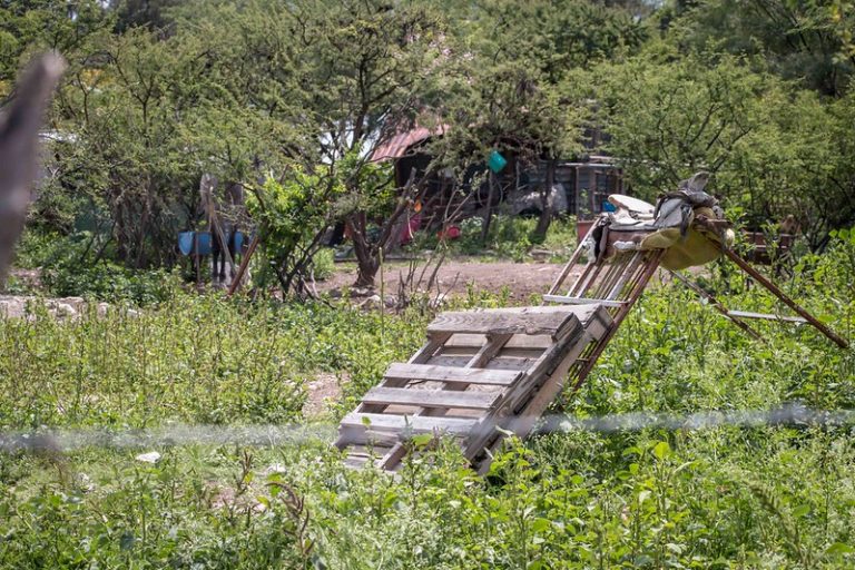 El PPEF 2020 para el campo pretende desaparecer al sector