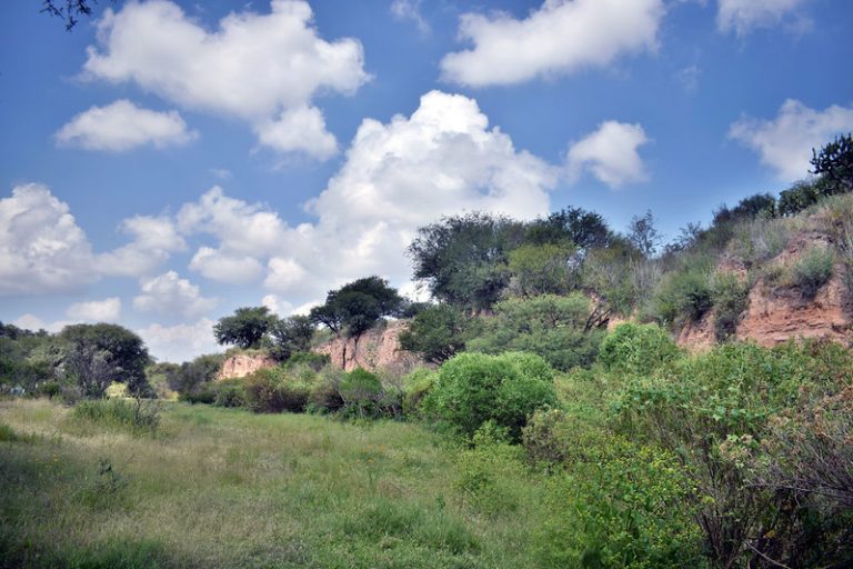 Proyecto de parque microproductivo en Los Cobos, en Aguascalientes, se trasladará a otros predios