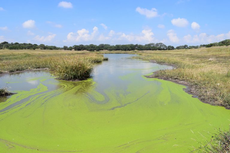 Son necesarias medidas drásticas para frenar el cambio climático   