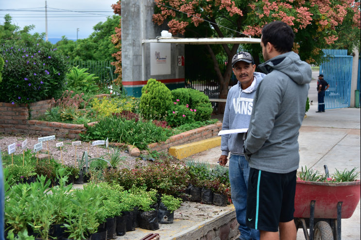 Implementarán programa intensivo de donación de plantas en la capital de Aguascalientes