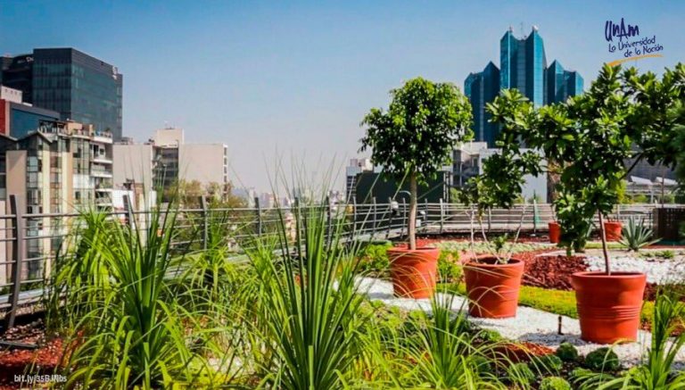 Azoteas verdes, para refrescar las grandes ciudades   