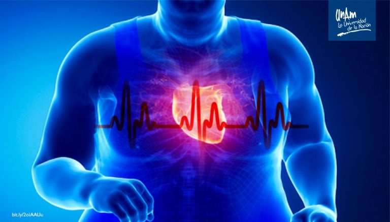 Alteración de los ritmos circadianos contribuye a la obesidad   