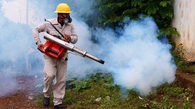 México registra 840 nuevos casos de dengue, tan sólo en Veracruz