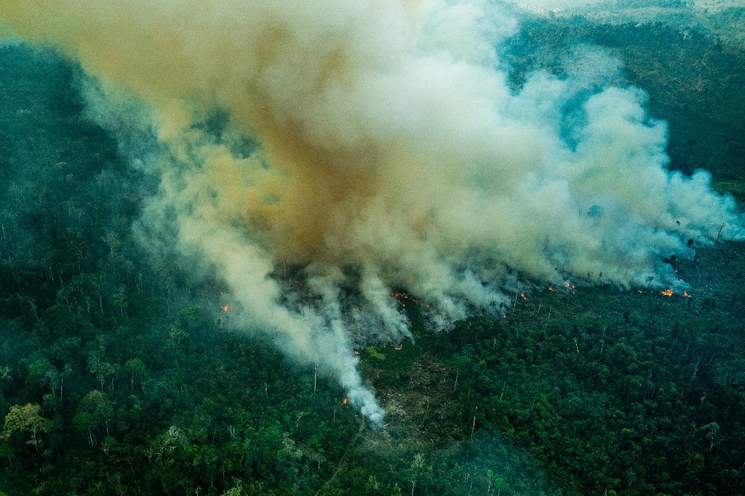 Incendios siguen afectando al Amazonas