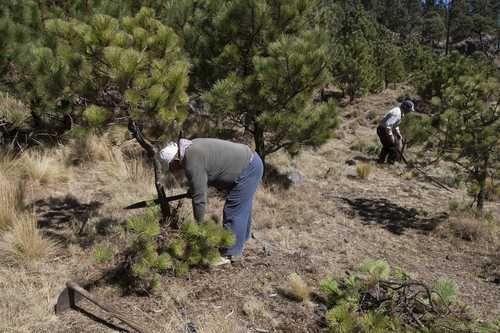 México y Alemania firman acuerdo de inversión a favor del medio ambiente