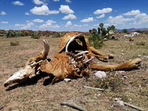 Más de la mitad de México está en sequía