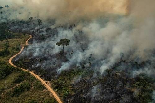 Incendio amenaza reserva de Chapada Diamantina en Brasil