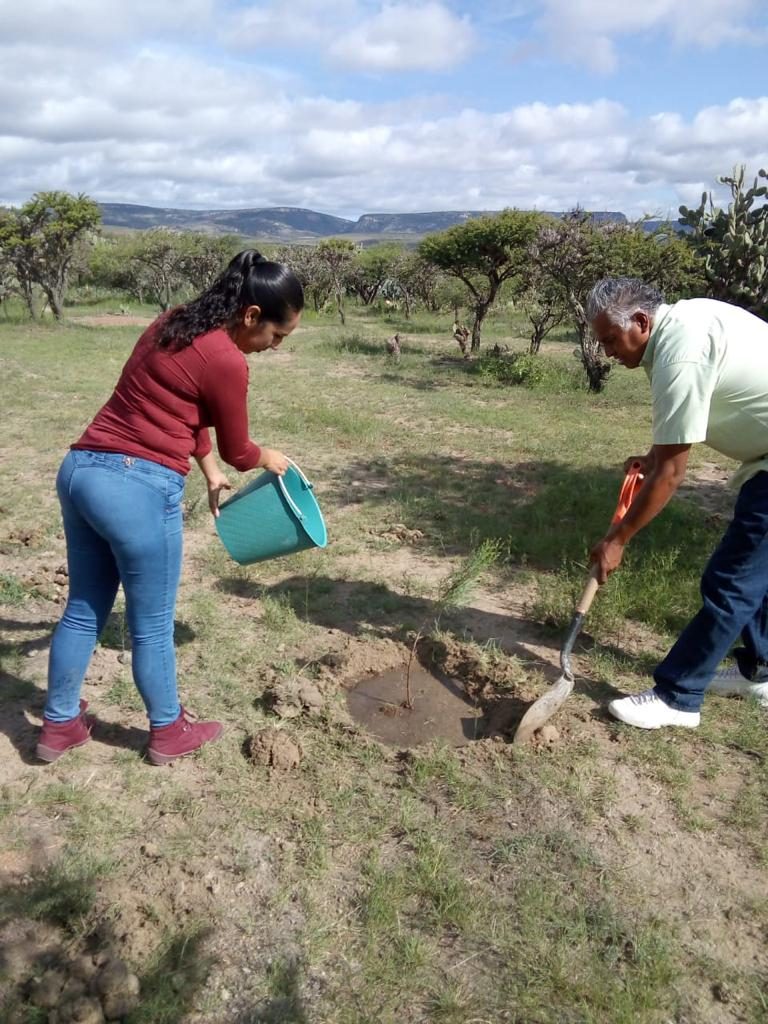 Se plantaron 150 árboles en San José de Gracia, Aguascalientes