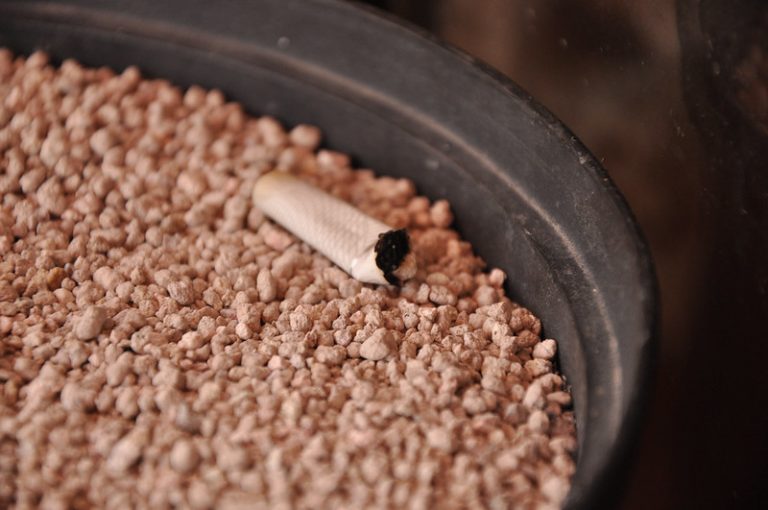 Se suman más espacios libres de humo de tabaco en Aguascalientes