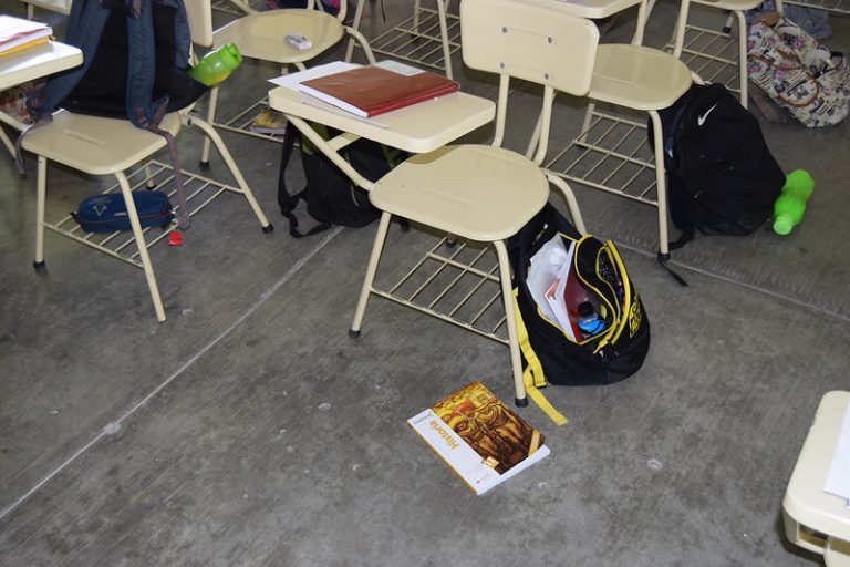 La educación es un andamio de desarrollo social