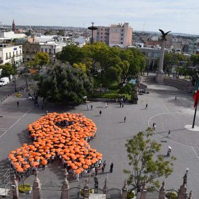 31113760527_599c5c2698_c