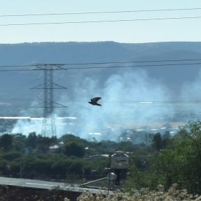 40919693523_f5bcca7857_c