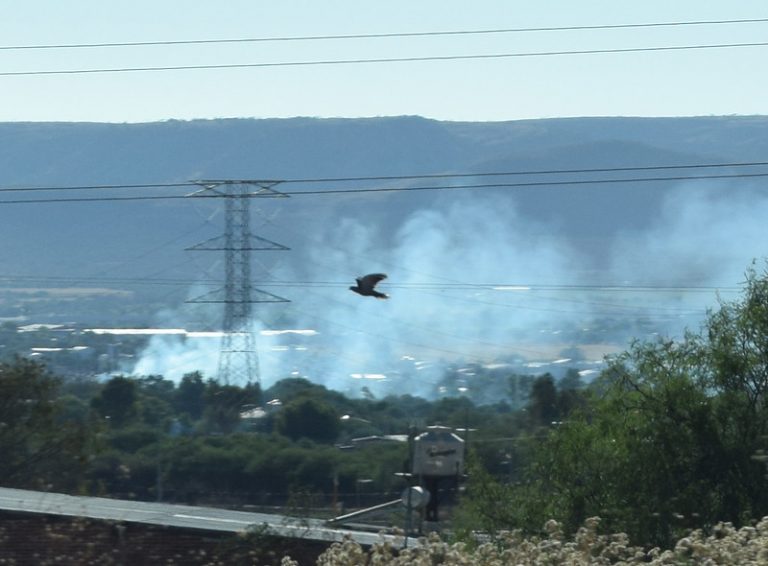 Calentamiento global, el desafío bioético más complejo de nuestro tiempo