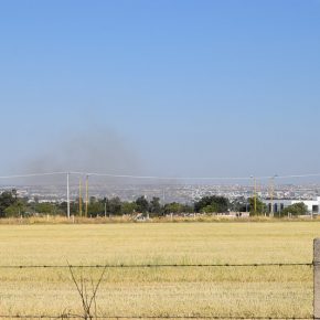 46865728554_8342432d6d_c