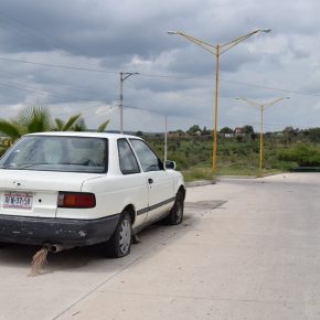 48377042931_ba4778dd0f_c