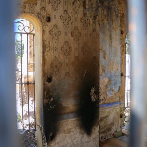 48988254873_7e70de518a_c