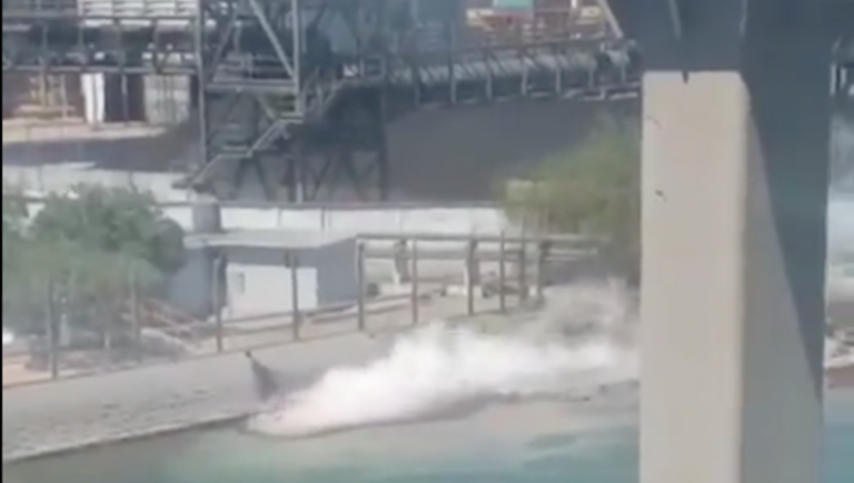 Profepa debe informar sobre clausura de Mexicana del Cobre por derrame en Mar de Cortés 