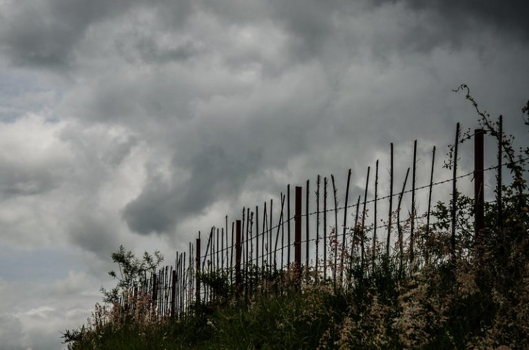 Exigen CIDH y ONU ambiente seguro para defensores de derechos en México y AL