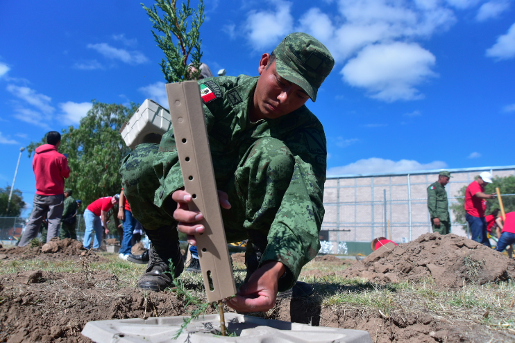 Plantan 450 árboles en el Parque México en Aguascalientes
