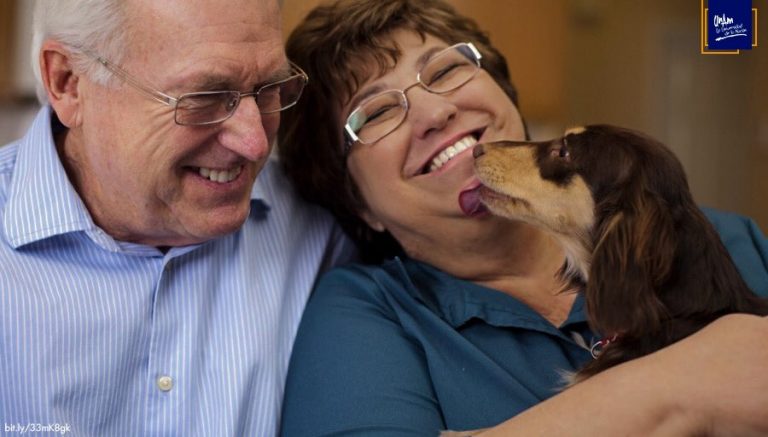 Animales de compañía son benéficos para los adultos mayores   