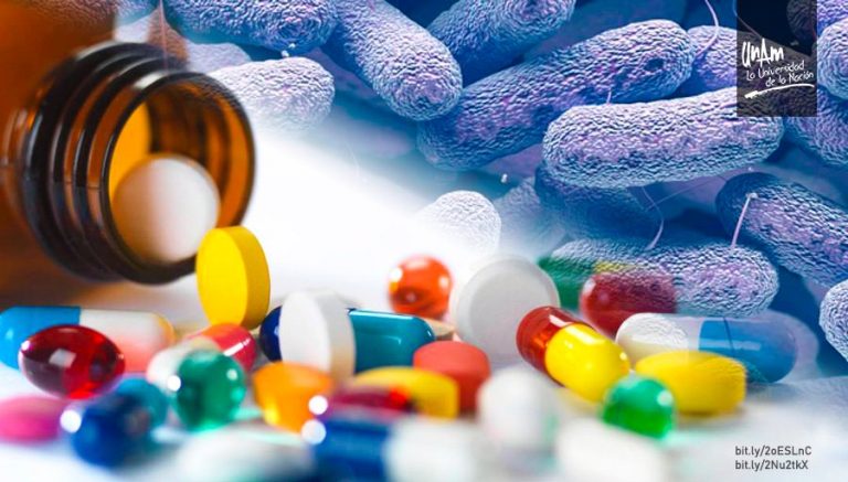 Resistencia bacteriana a antibióticos es uno de los grandes problemas médicos del siglo