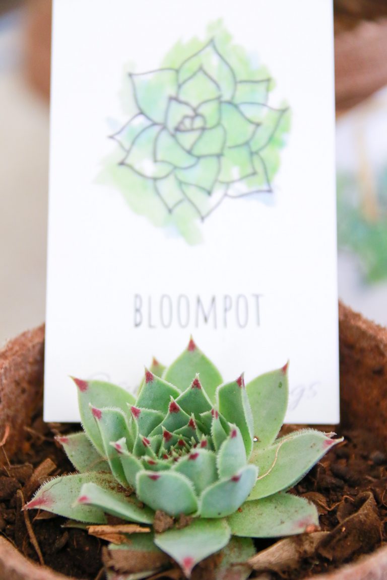 Presentan estudiantes de la Autónoma de Aguascalientes productos con perspectiva ambiental 