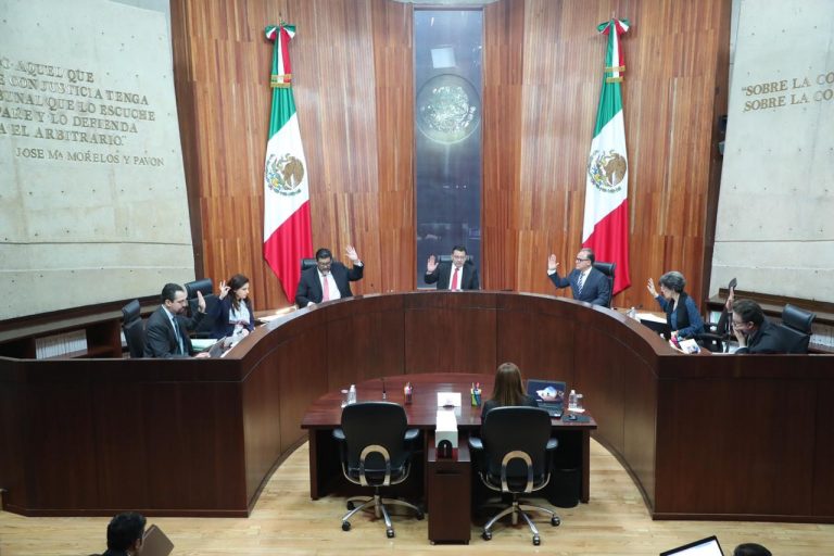 TEPJF desecha recurso contra elección de titular de CNDH en el Senado   
