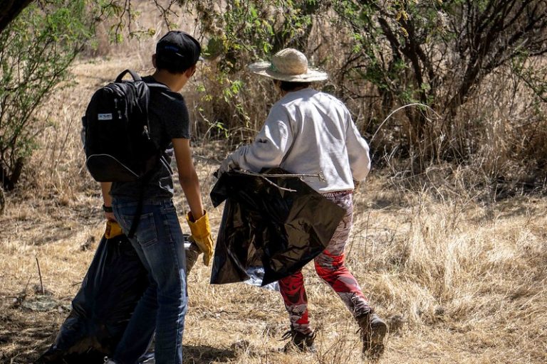 Ética y educación ambiental llevadas a la práctica