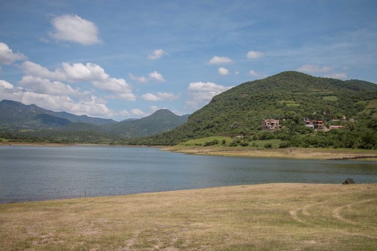 Financiera Nacional de Desarrollo Agropecuario, Rural, Forestal y Pesquero se transforma en Financiera Nacional Agropecuaria    