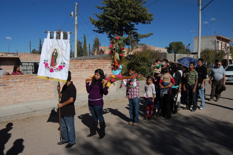 Imágenes de Aguascalientes: La Mariquita de Guadalupe