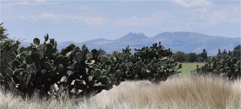 La sierra de Tepezalá / Imágenes de Aguascalientes