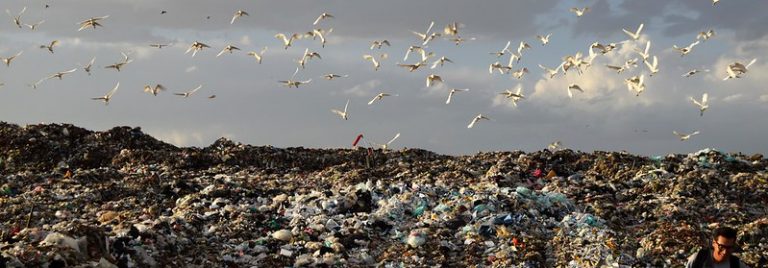 Entre basura: la disposición final de los residuos en México