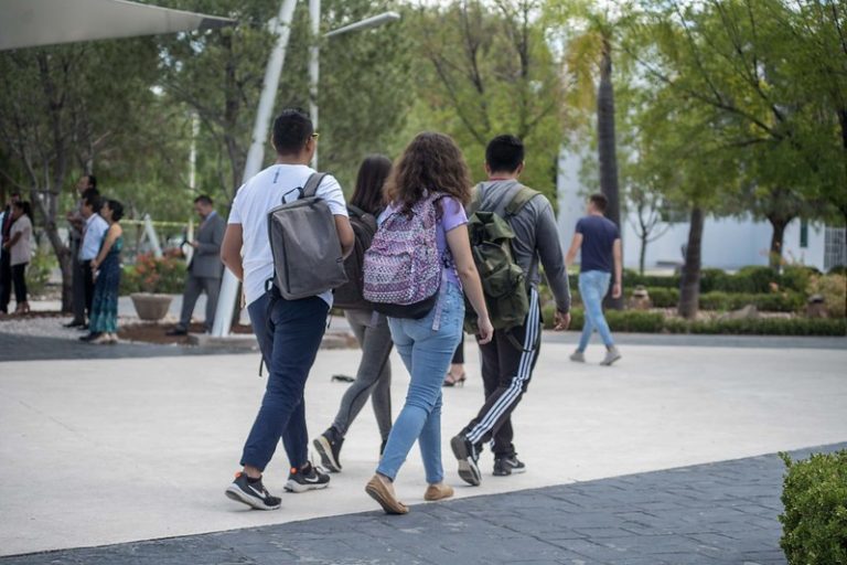 Universidades, obligatorias y gratuitas para el 2024