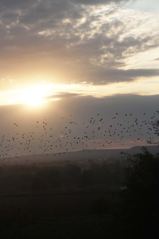 Impulsan colaboración en turismo entre Aguascalientes y Puerto Vallarta
