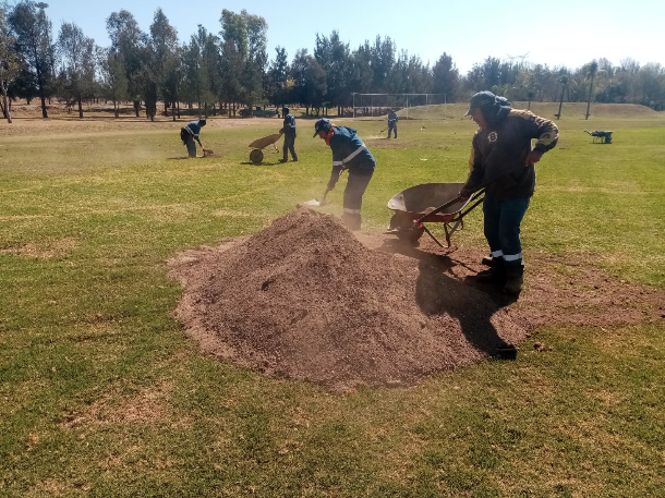 Protegen campos deportivos y áreas verdes del frío en Aguascalientes