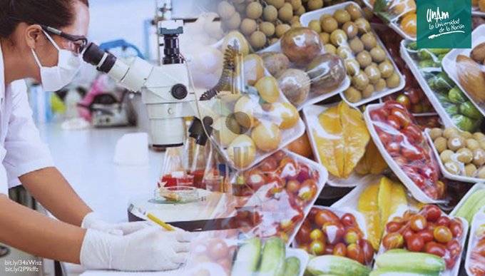 Recubrimientos plásticos de alimentos podrían generar diabetes y cáncer