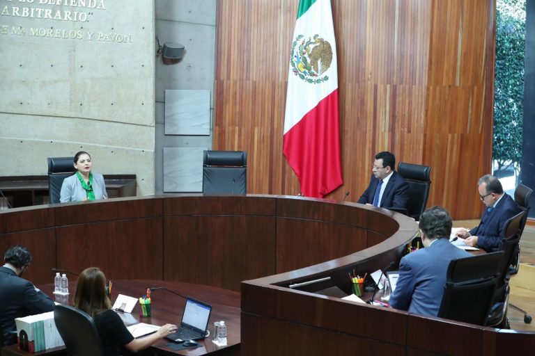 TEPJF apercibe a Morena a no resolver asuntos de carácter parlamentario   