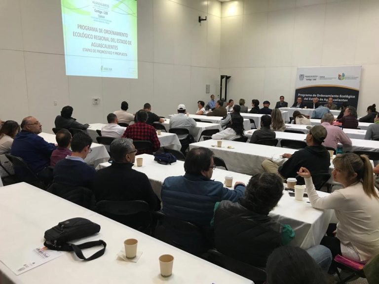 En diagnóstico, el Programa del Ordenamiento Ecológico Regional