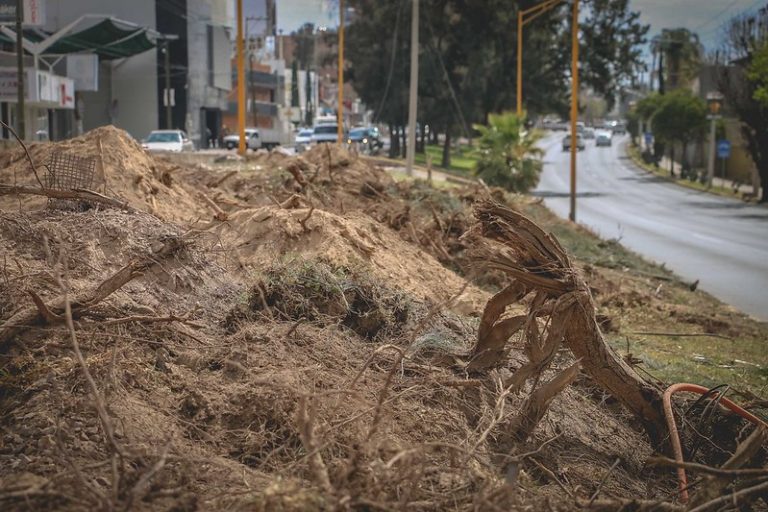 Se queja el Partido Verde del medio ambiente del estado, pero no legisla 
