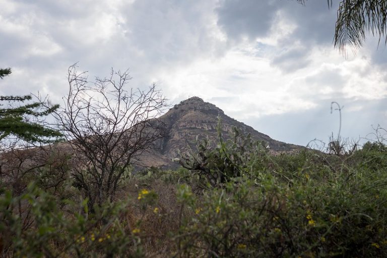 Dieron inicio domingos ambientales en el Cerro del Muerto de Aguascalientes