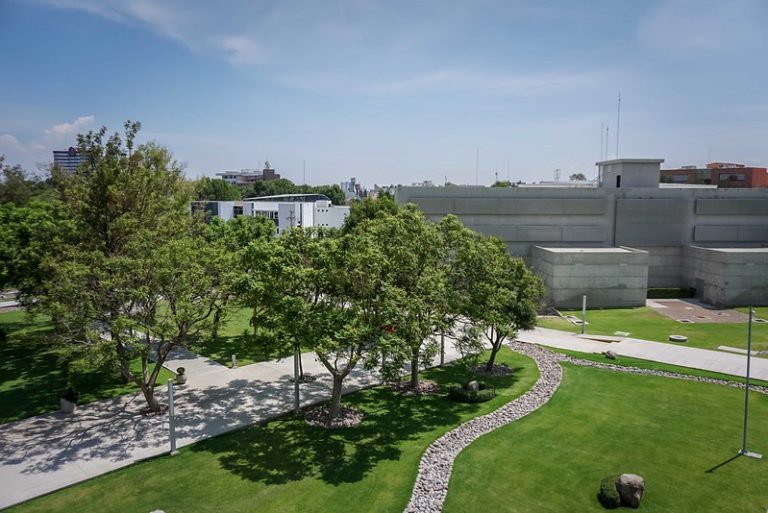 Problemática y cuidado del medio ambiente