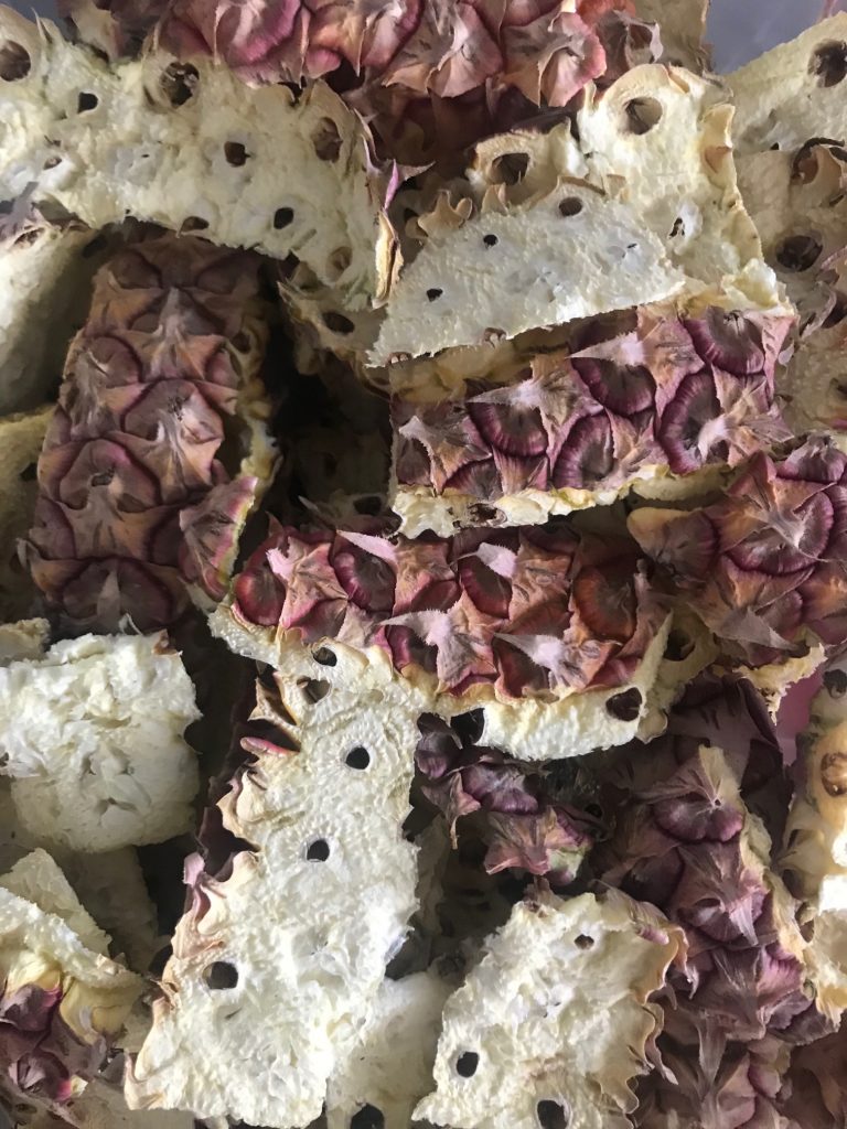 Investigadores de la UAA utilizan residuos agroindustriales como ingredientes alimentarios