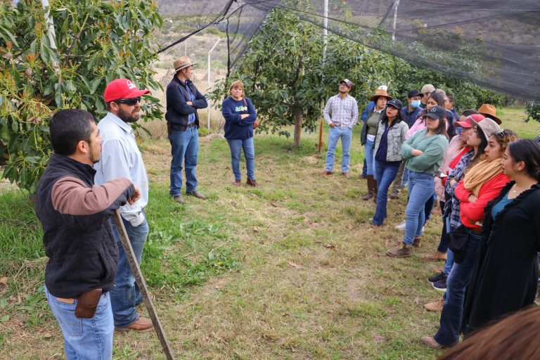 Estudiantes de la UTN Aguascalientes aprenden en los huertos de Calvillo